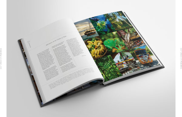 Let's Meet in Paradise...a food journey - Hardcover - Image 5